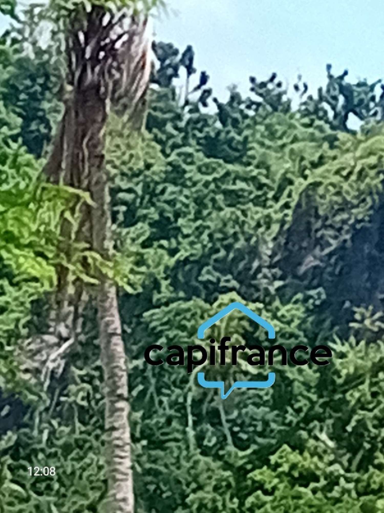  à vendre terrain Mamoudzou Mayotte 3