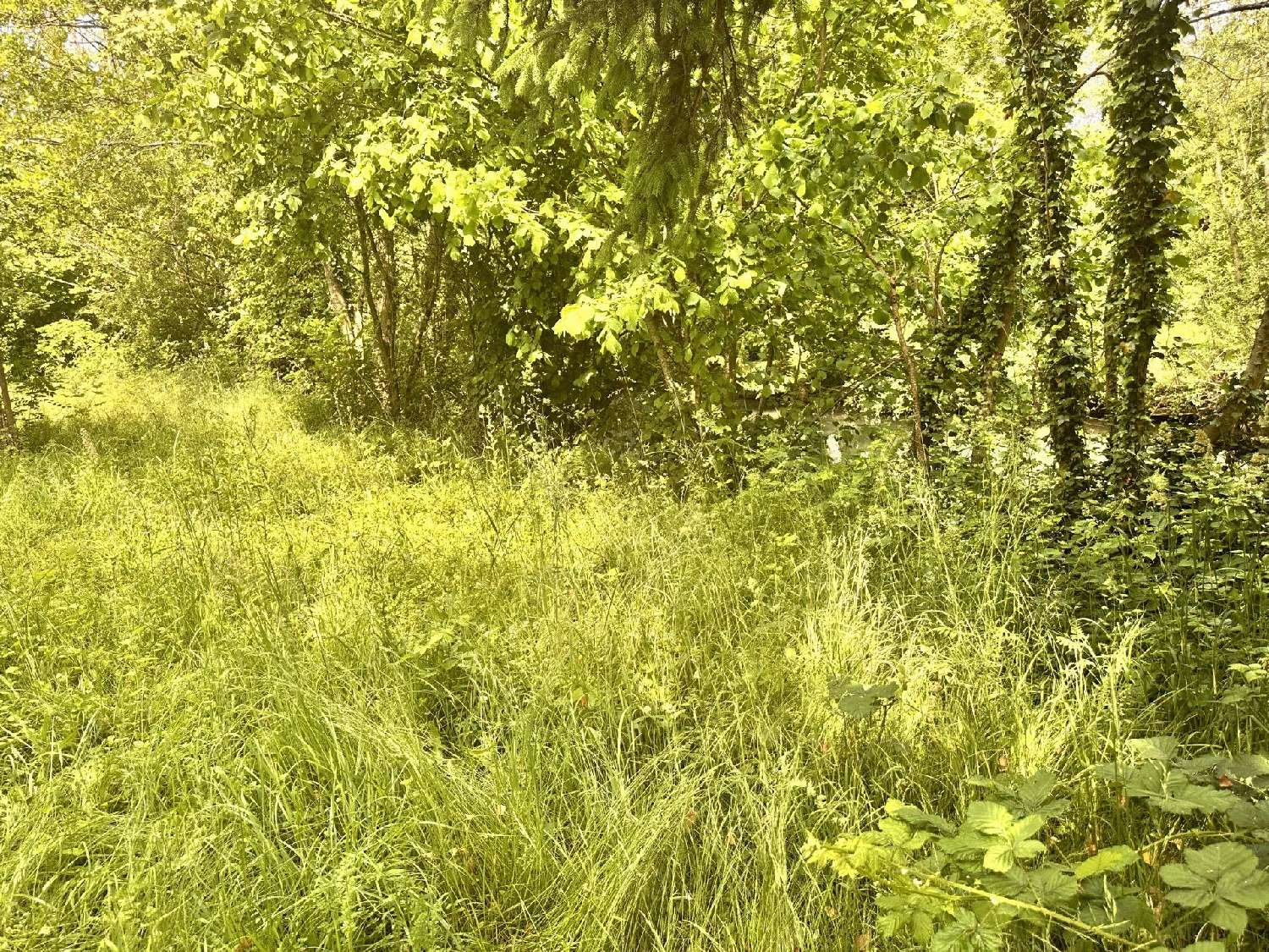  te koop terrein Marandeuil Côte-d'Or 1