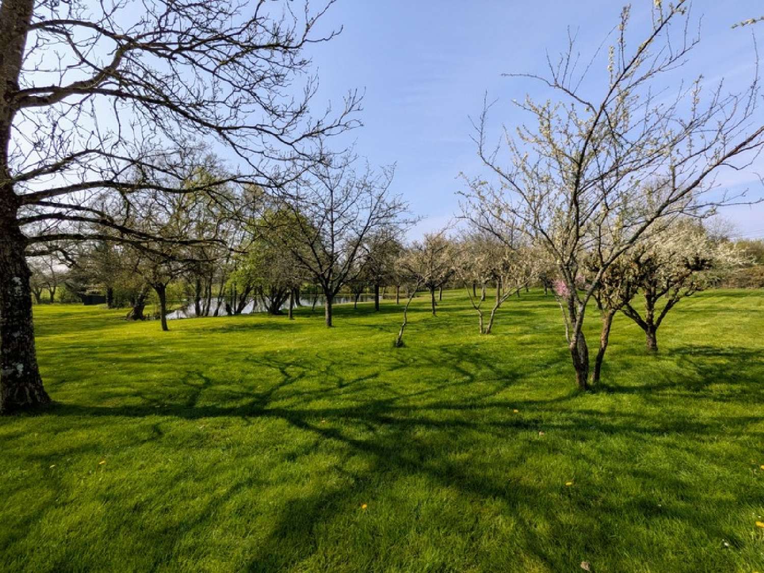 kaufen Grundstück Maulévrier Maine-et-Loire 1