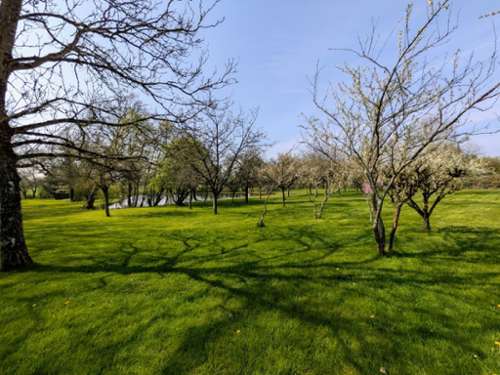 Maulévrier Maine-et-Loire Grundstück Bild 7302836