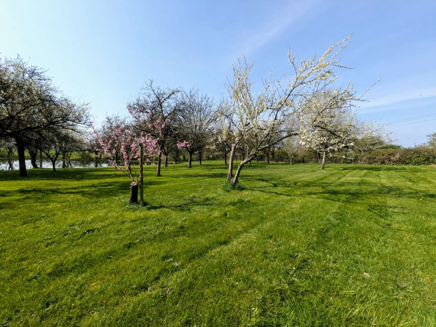 kaufen Grundstück Maulévrier Maine-et-Loire 4