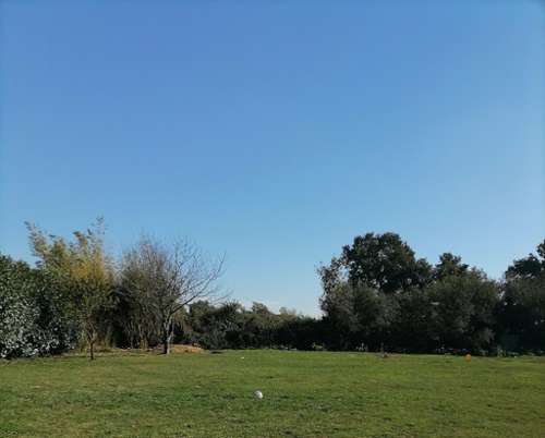 Mézériat Ain terrain foto