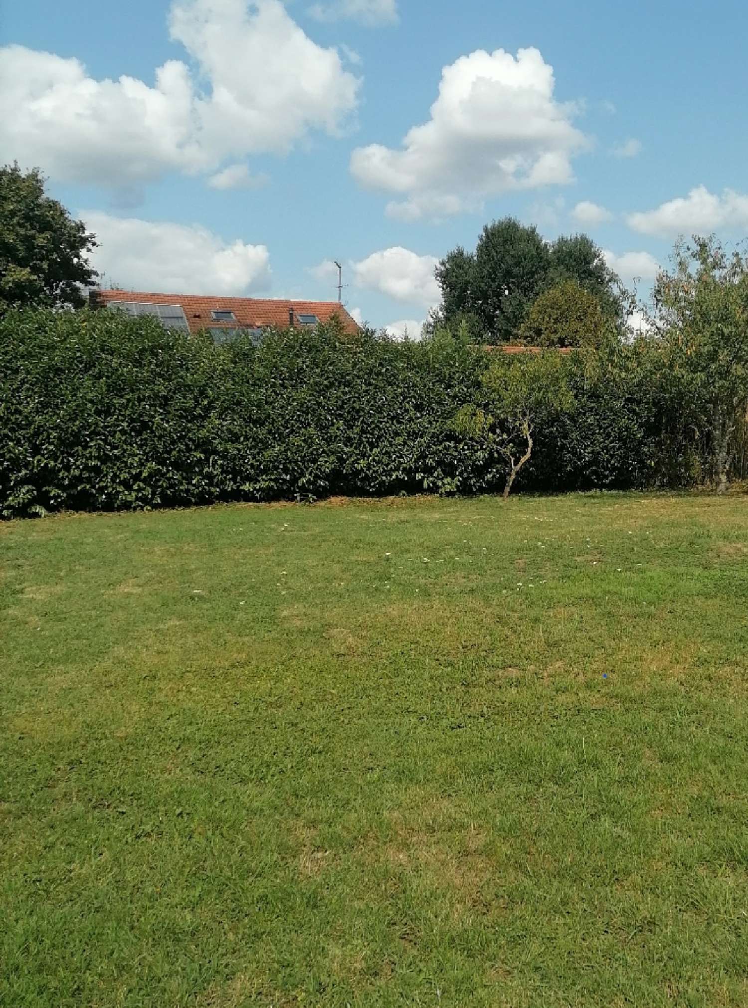  te koop terrein Mézériat Ain 2