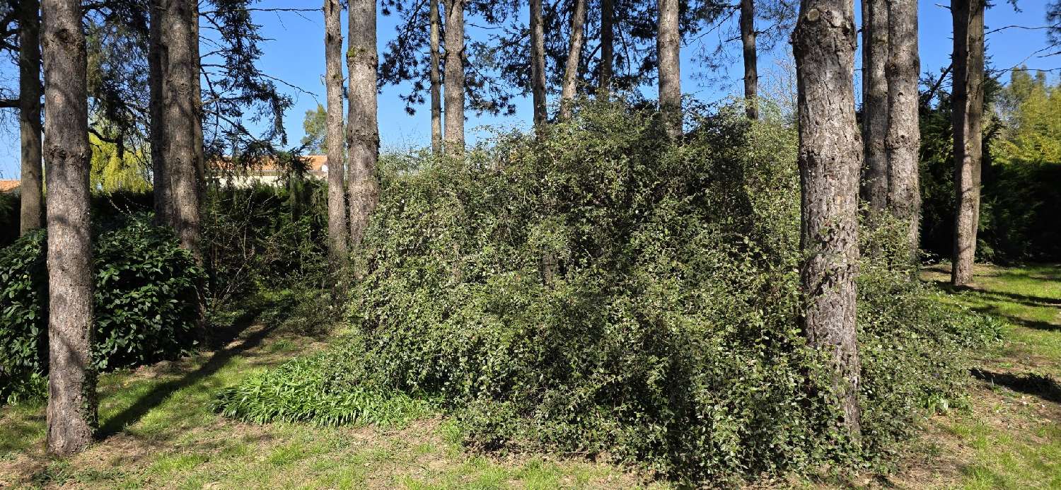  te koop terrein Mignaloux-Beauvoir Vienne 1