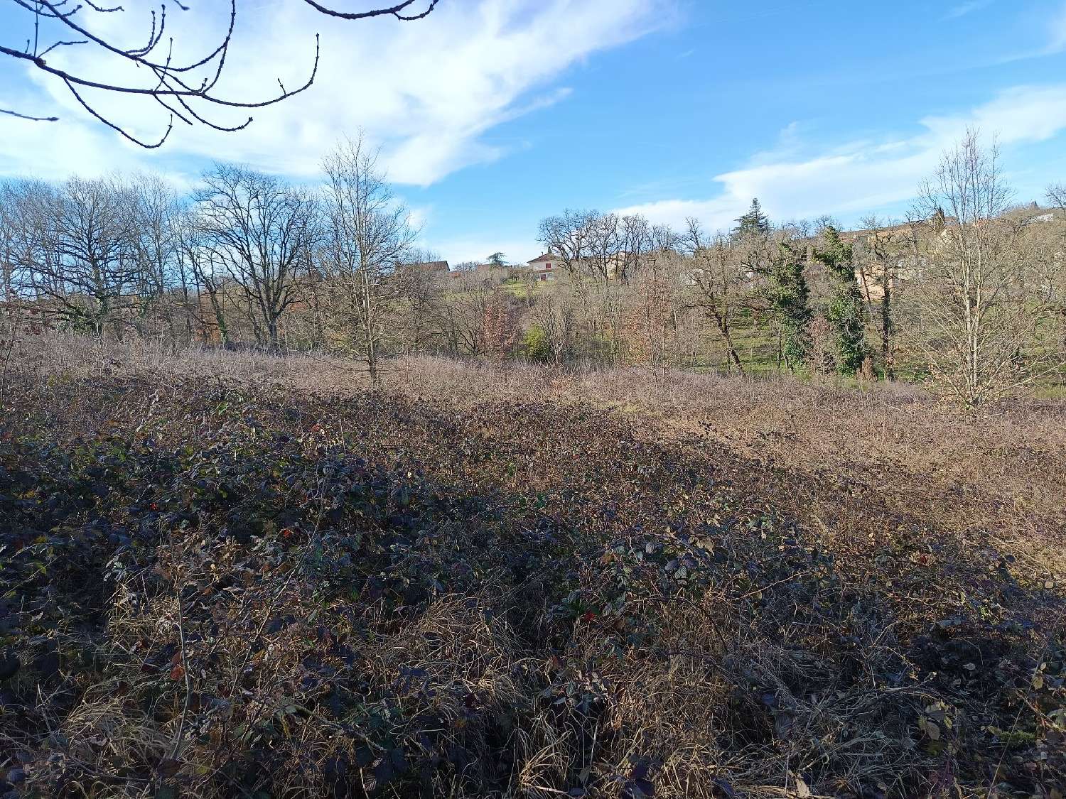 te koop terrein Mirandol-Bourgnounac Tarn 1