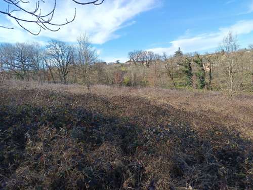 Mirandol-Bourgnounac Tarn terrein foto 7306344