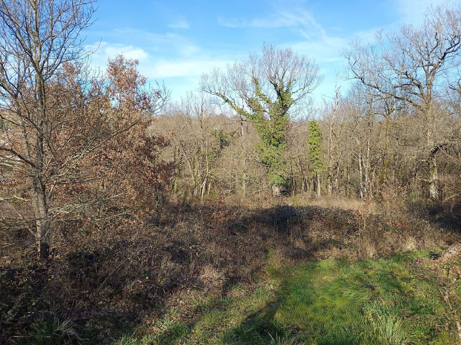 te koop terrein Mirandol-Bourgnounac Tarn 4