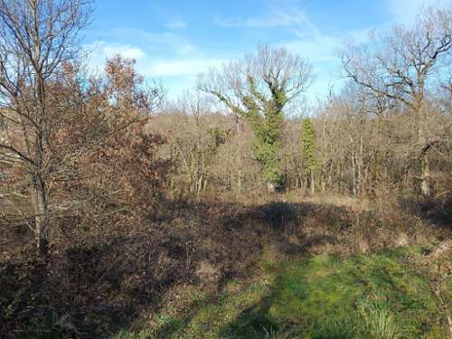 Mirandol-Bourgnounac Tarn terrein foto 7306365