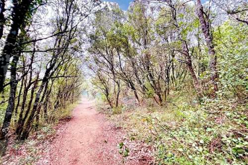 Monoblet Gard terrein foto 7316704