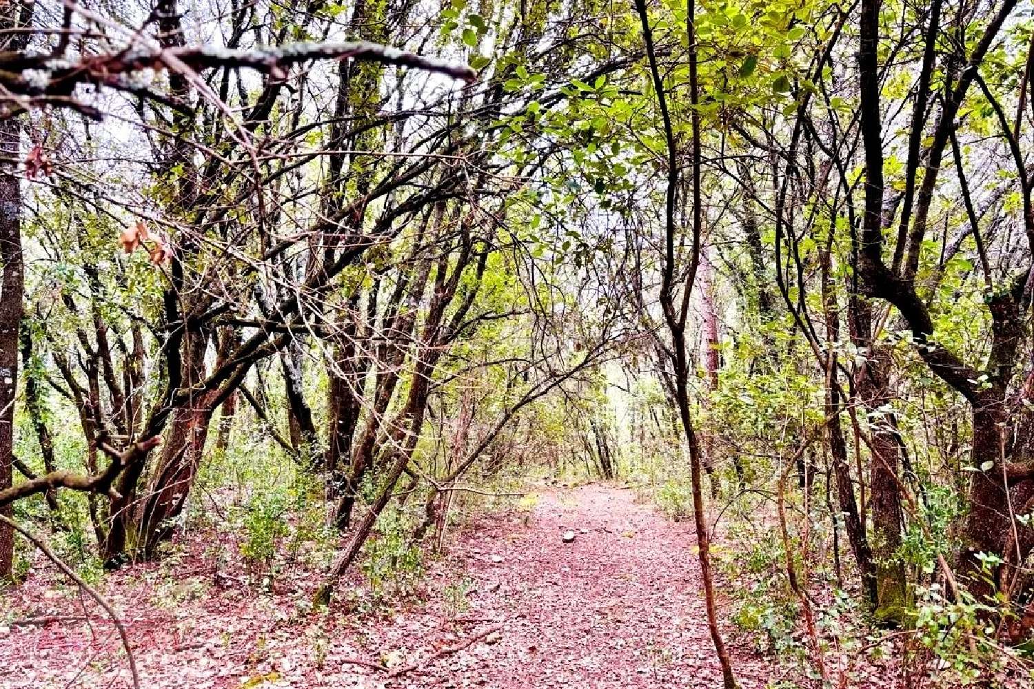  te koop terrein Monoblet Gard 4