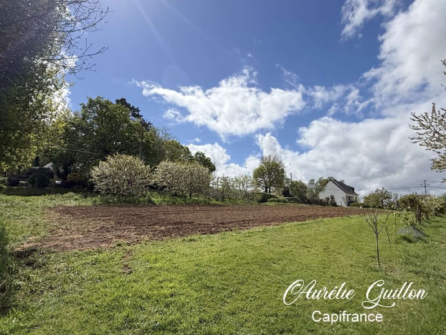  te koop terrein Montertelot Morbihan 4