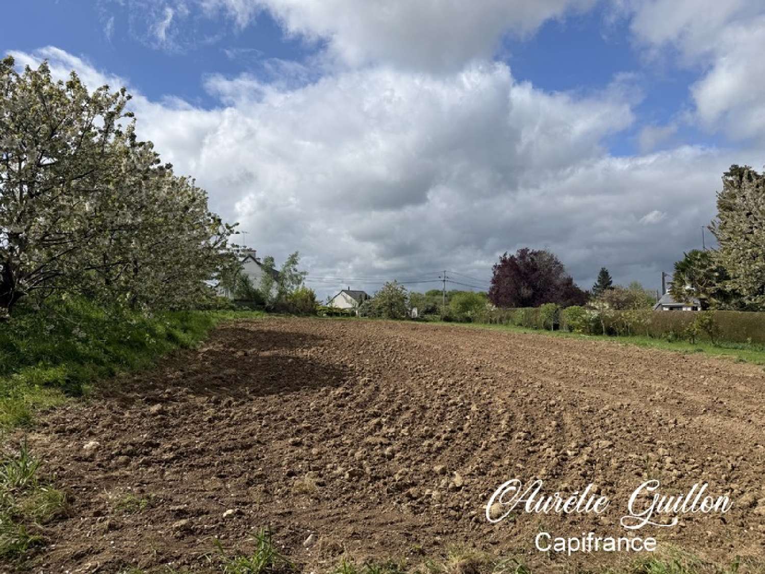  te koop terrein Montertelot Morbihan 5