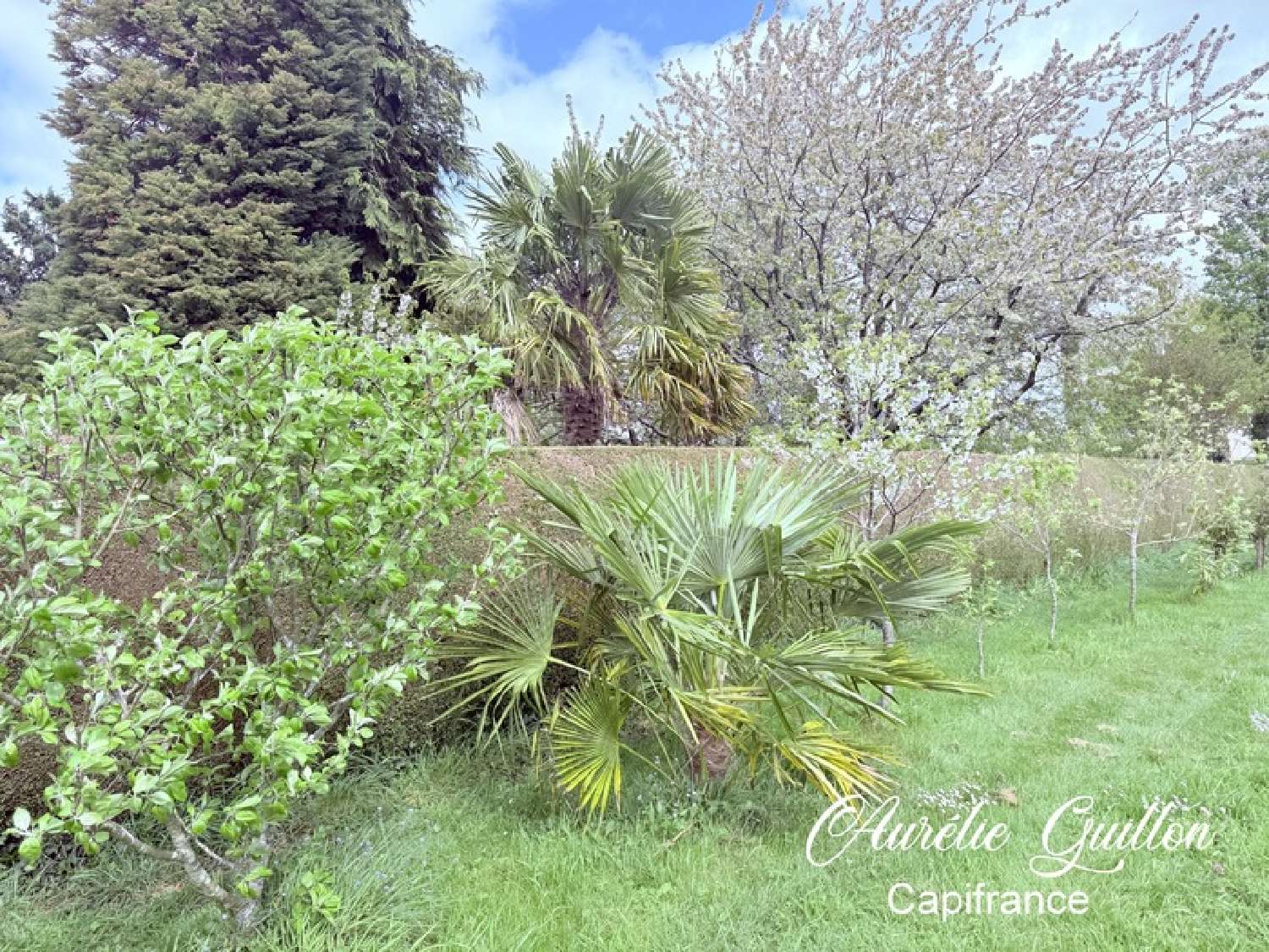  te koop terrein Montertelot Morbihan 7