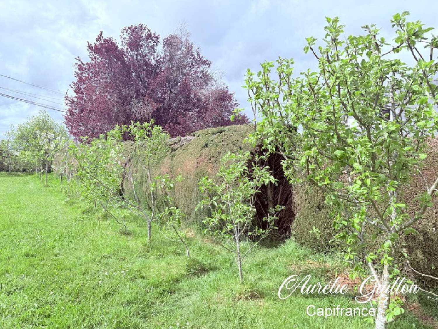  te koop terrein Montertelot Morbihan 8