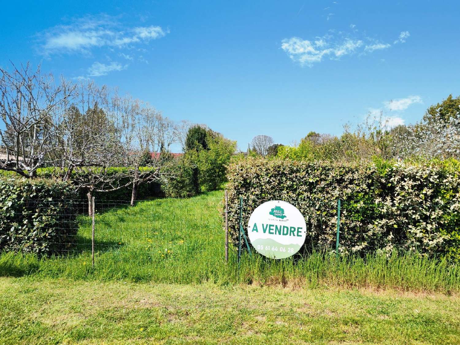 kaufen Grundstück Montesquieu-Volvestre Haute-Garonne 3
