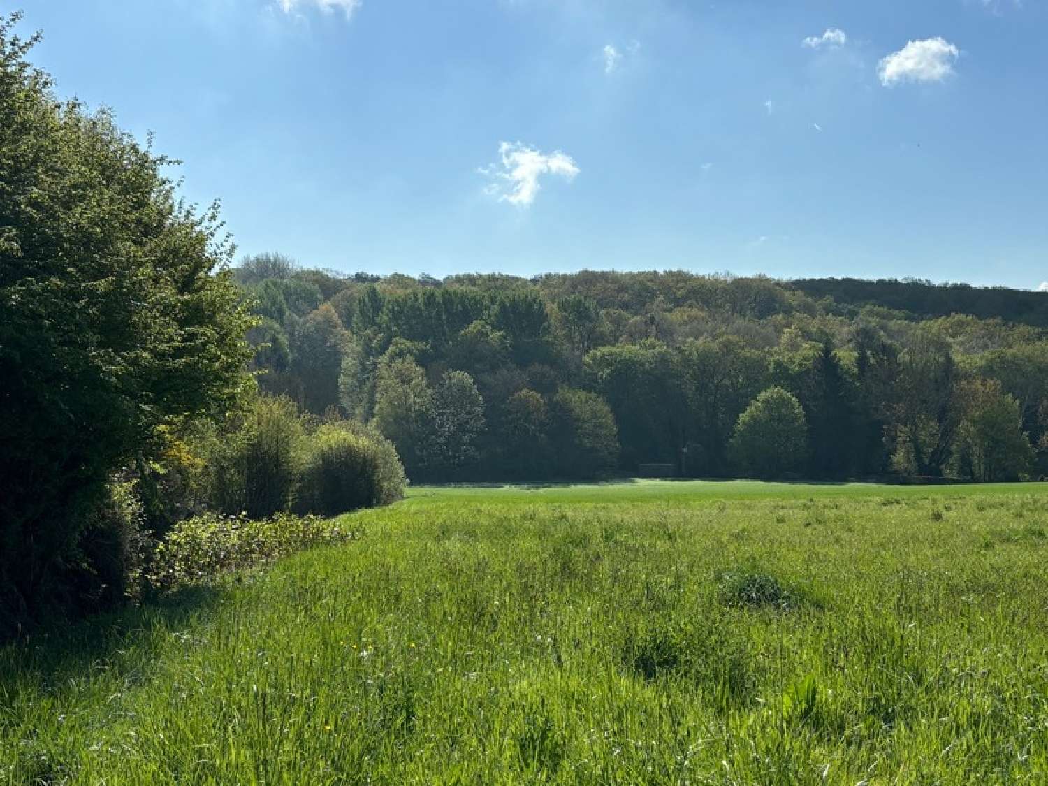  kaufen Grundstück Montreuil-aux-Lions Aisne 1