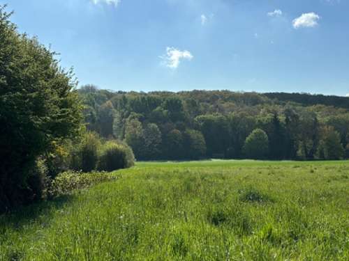 Montreuil-aux-Lions Aisne Grundstück Bild 7317073