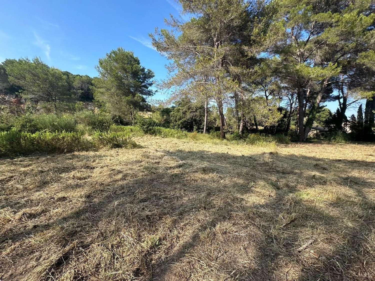  for sale terrain Mougins Alpes-Maritimes 1
