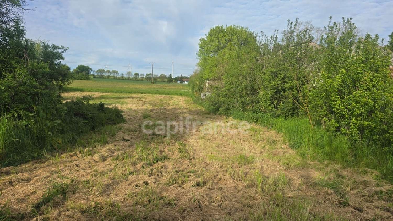  te koop terrein Nachamps Charente-Maritime 5