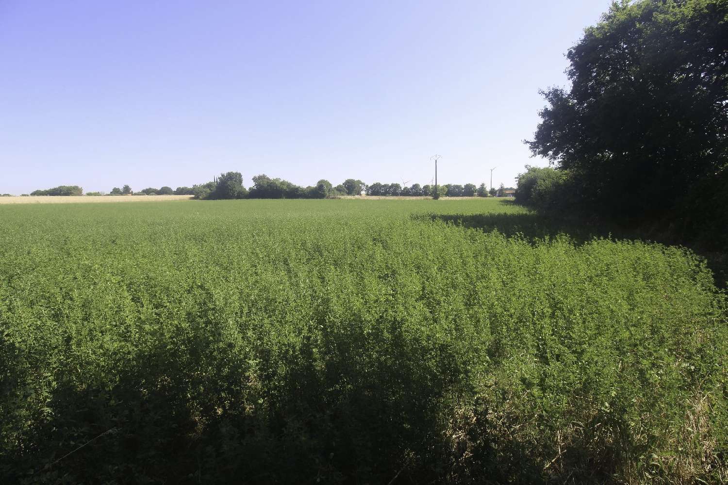kaufen Grundstück Nachamps Charente-Maritime 1