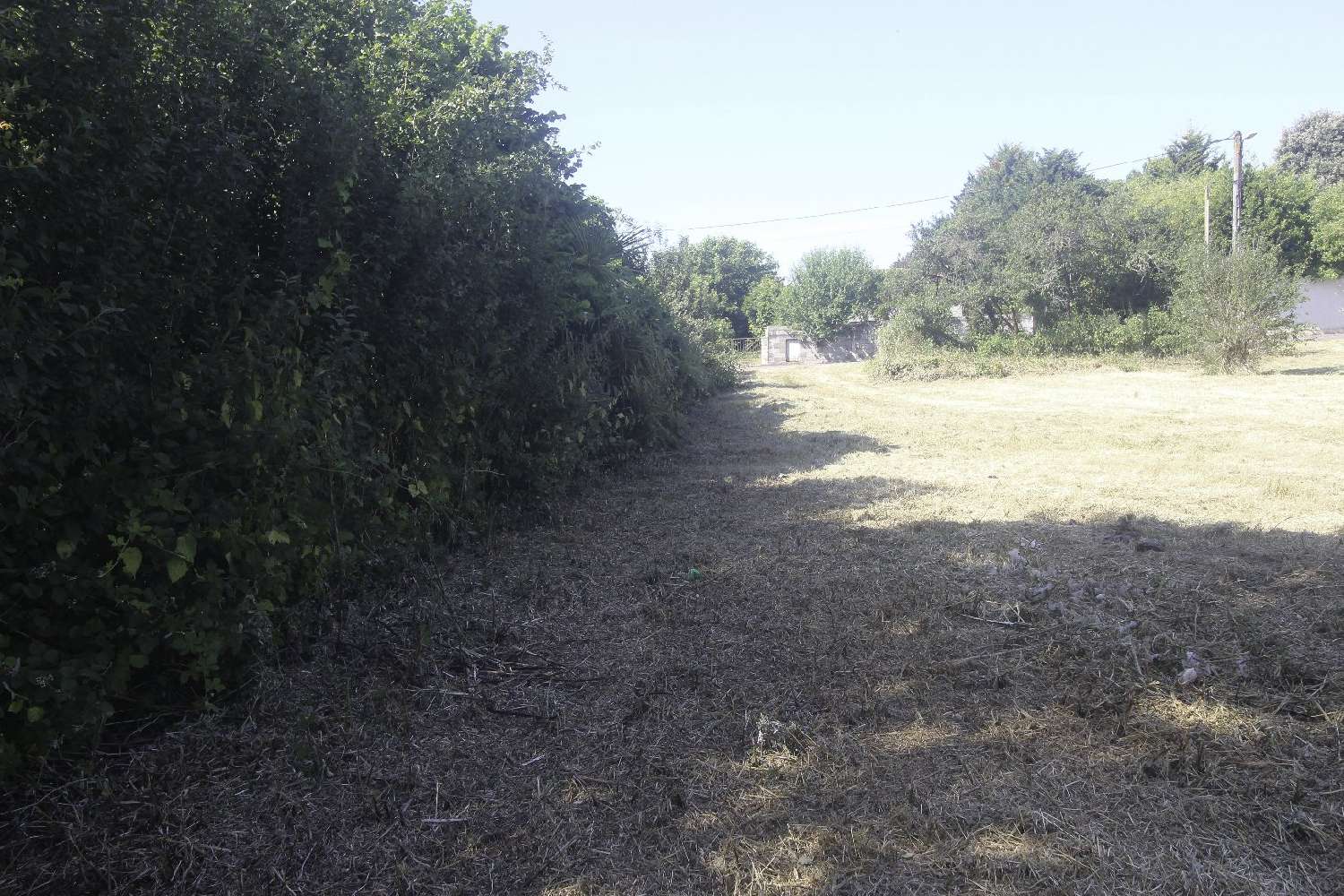 kaufen Grundstück Nachamps Charente-Maritime 3