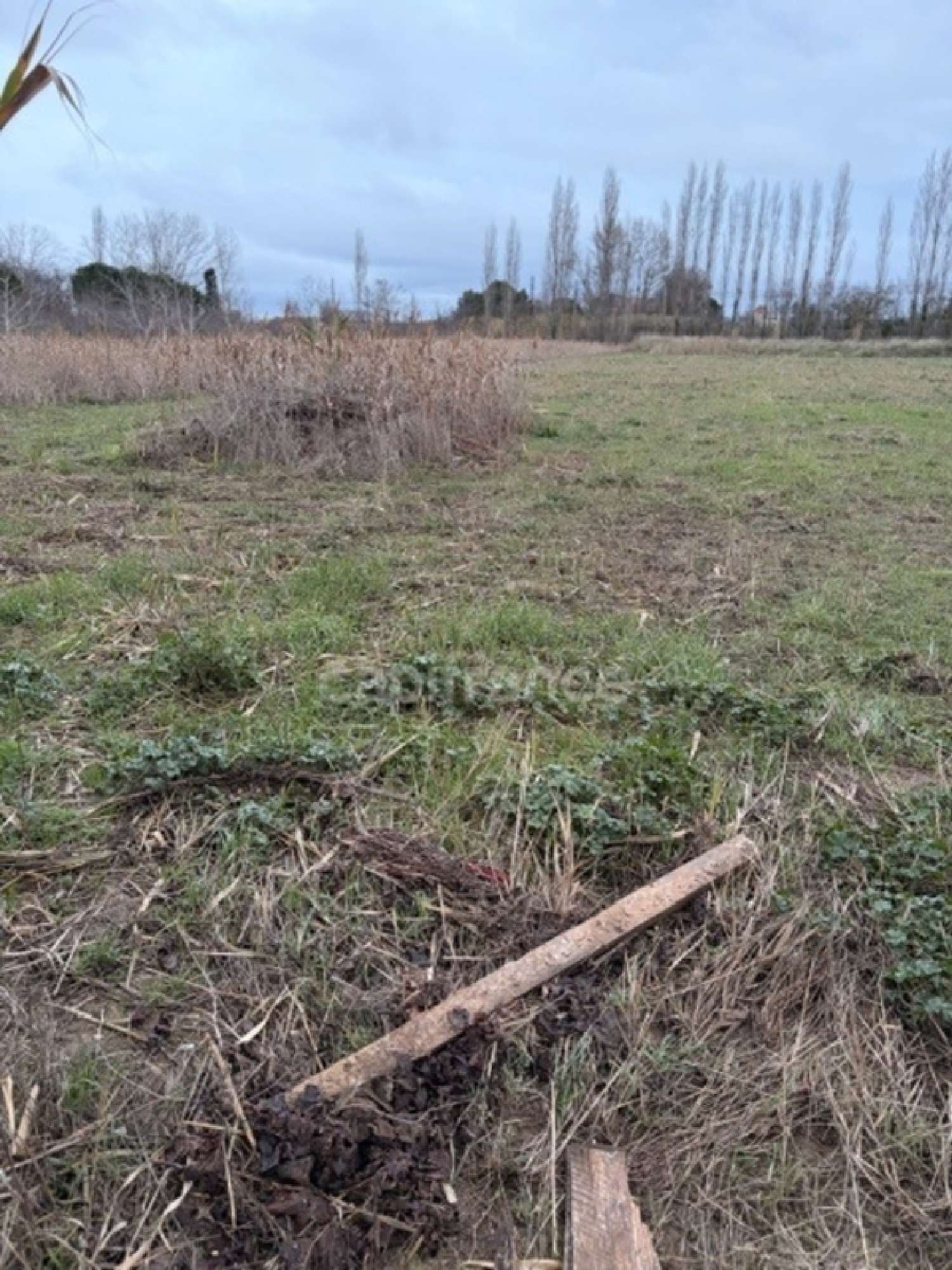  à vendre terrain Narbonne Aude 2