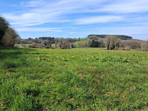 Neuvic-Entier Haute-Vienne Grundstück Bild 7300862