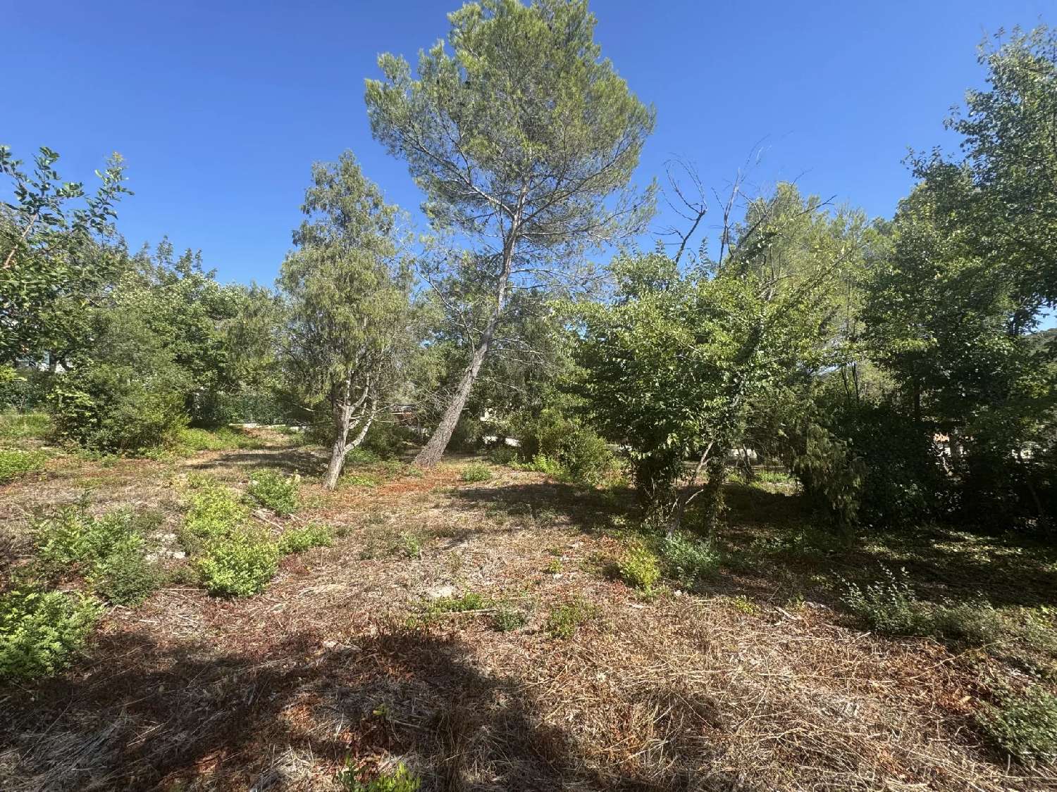  for sale terrain Opio Alpes-Maritimes 1