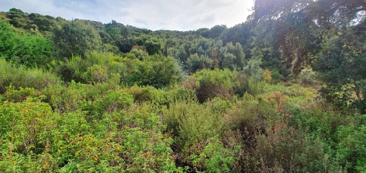  te koop terrein Petreto-Bicchisano Corse-du-Sud 2