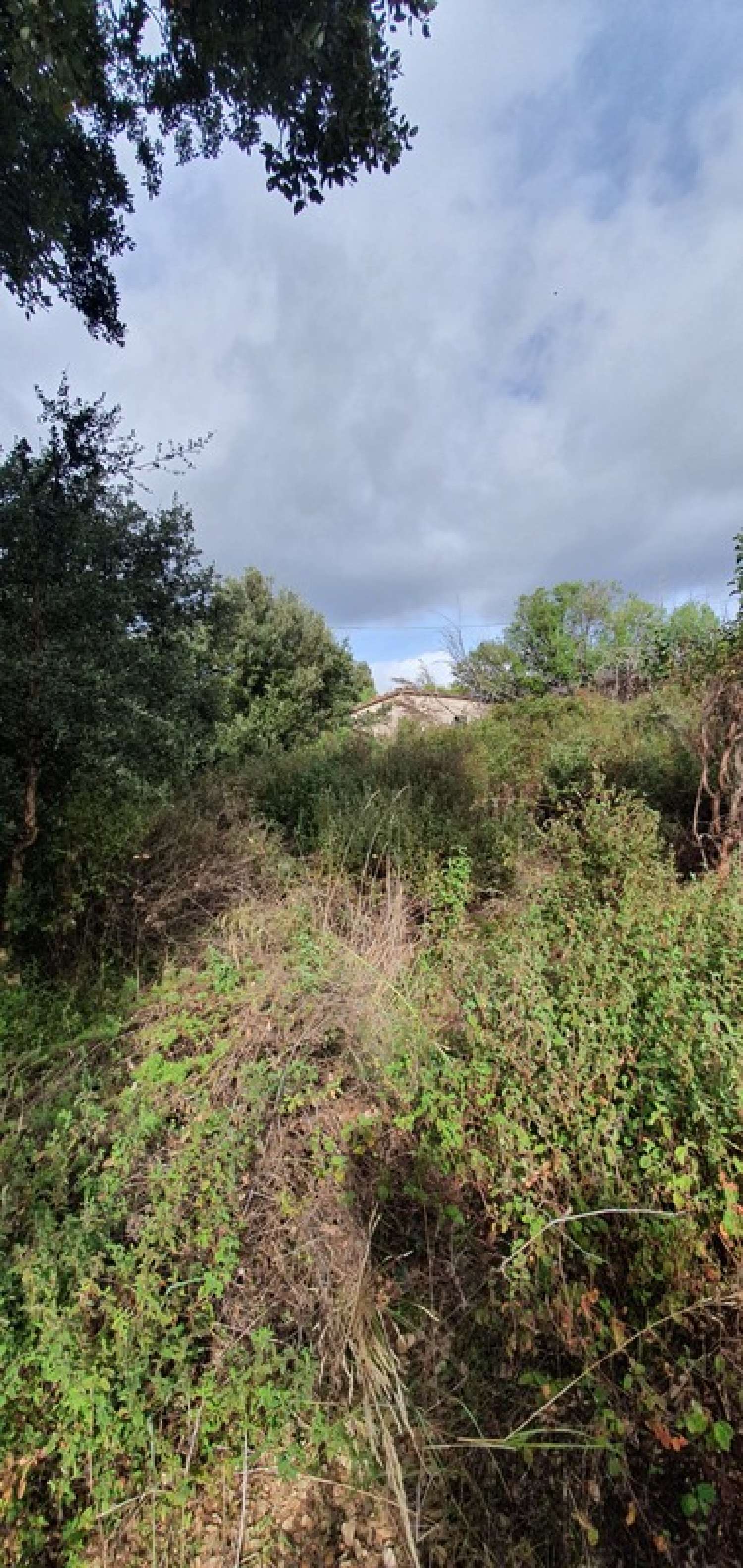  te koop terrein Petreto-Bicchisano Corse-du-Sud 3