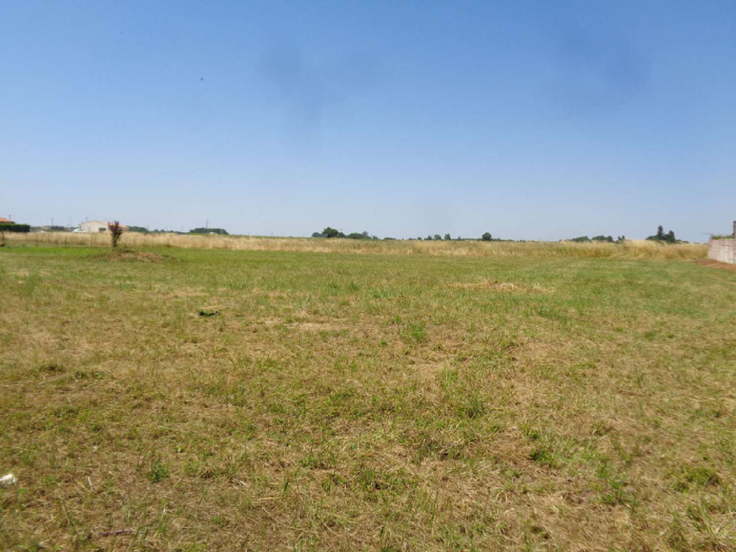  à vendre terrain Plassac Charente-Maritime 2