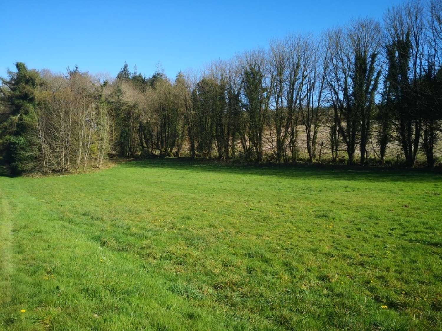  te koop terrein Plouray Morbihan 2