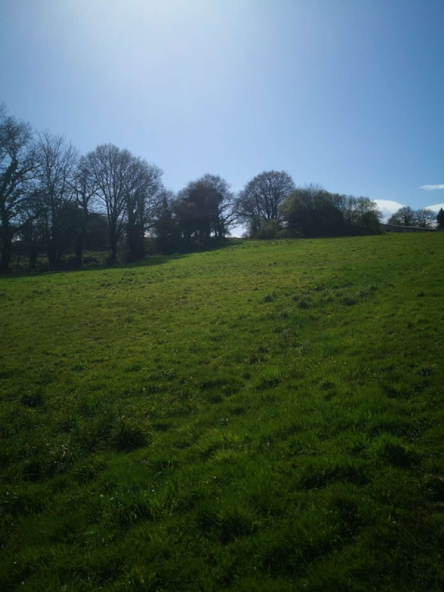  te koop terrein Plouray Morbihan 3