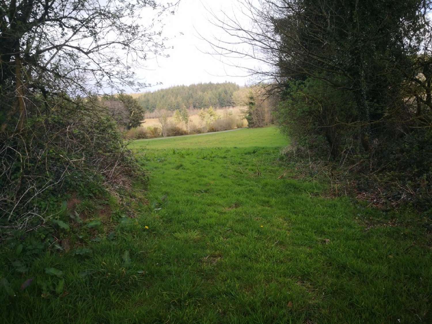  te koop terrein Plouray Morbihan 7