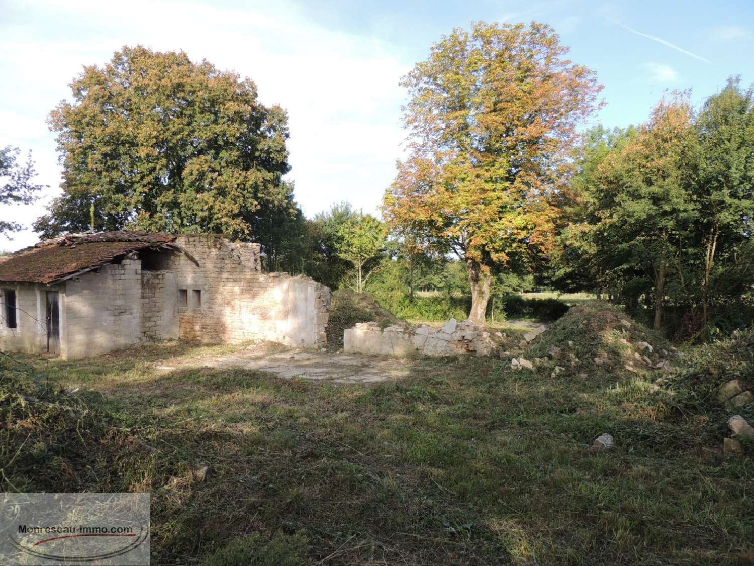  te koop terrein Pont-de-Vaux Ain 3