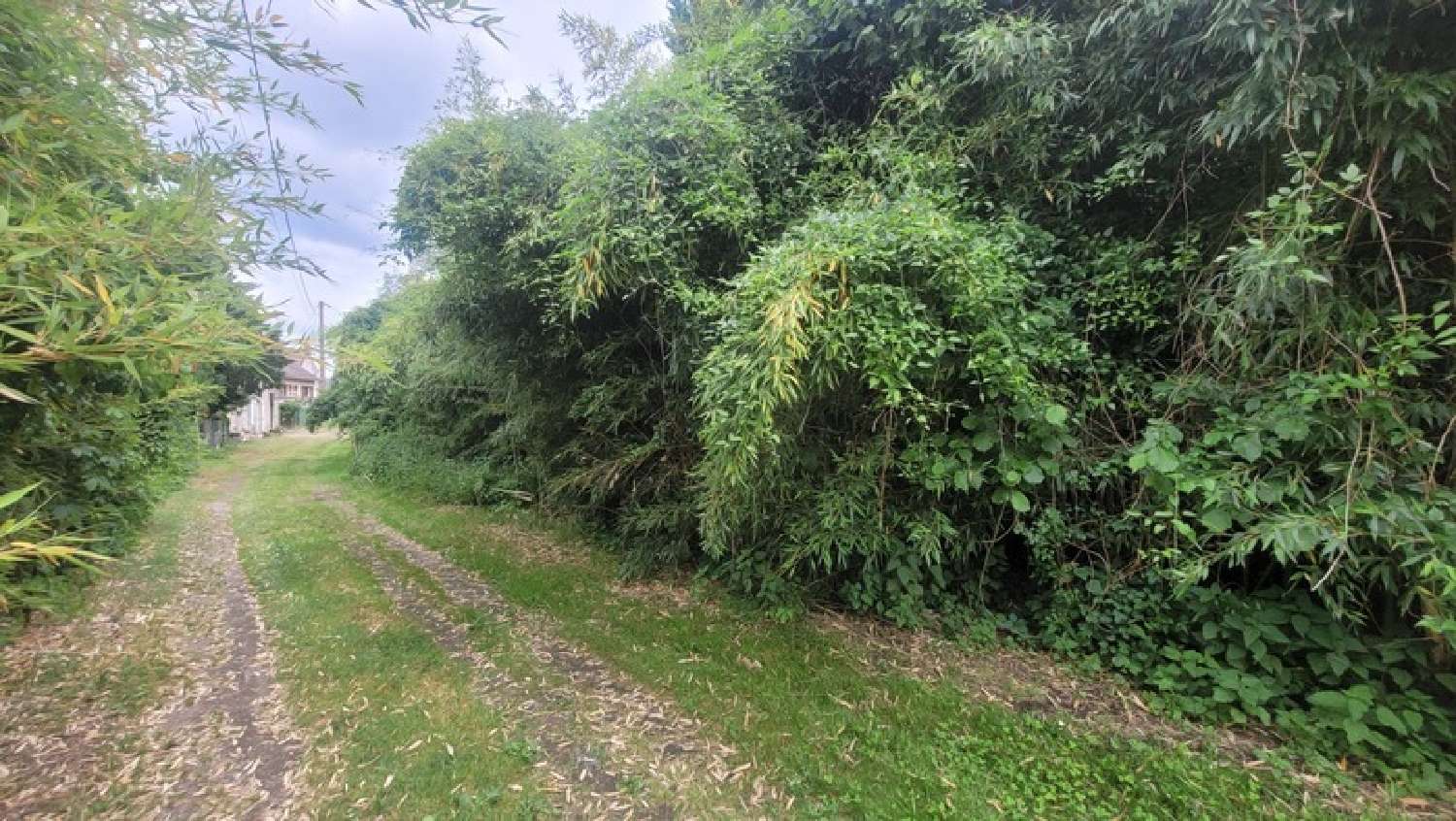  for sale terrain Port-de-Piles Vienne 2