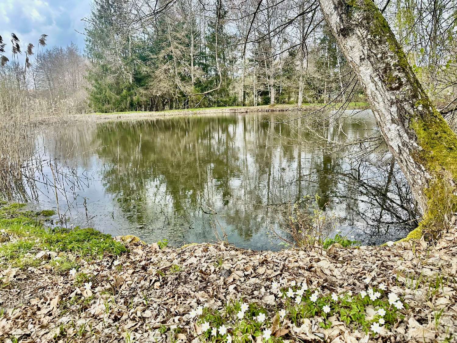 kaufen Grundstück Rignovelle Haute-Saône 2