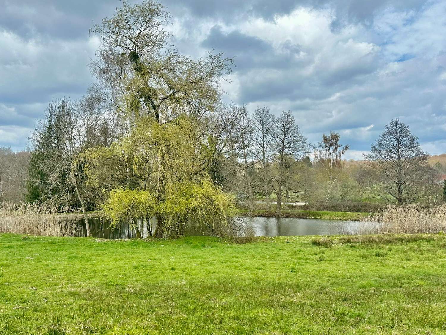 kaufen Grundstück Rignovelle Haute-Saône 3