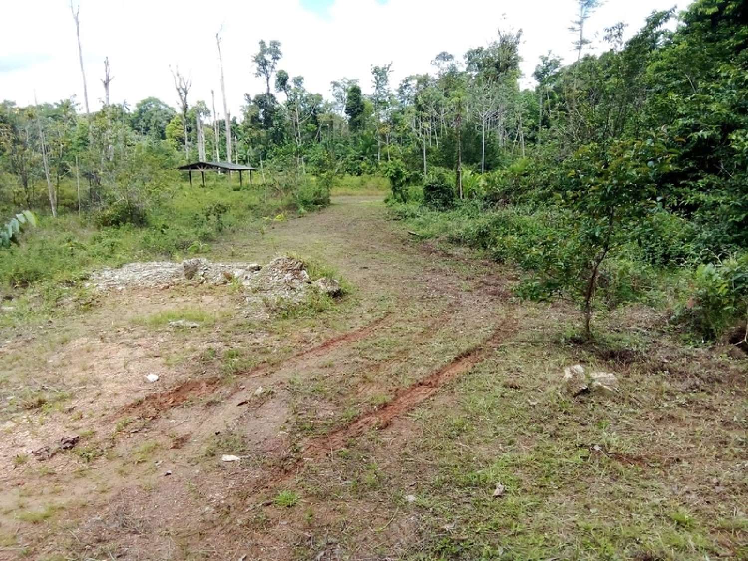 te koop terrein Roura Guyane 2