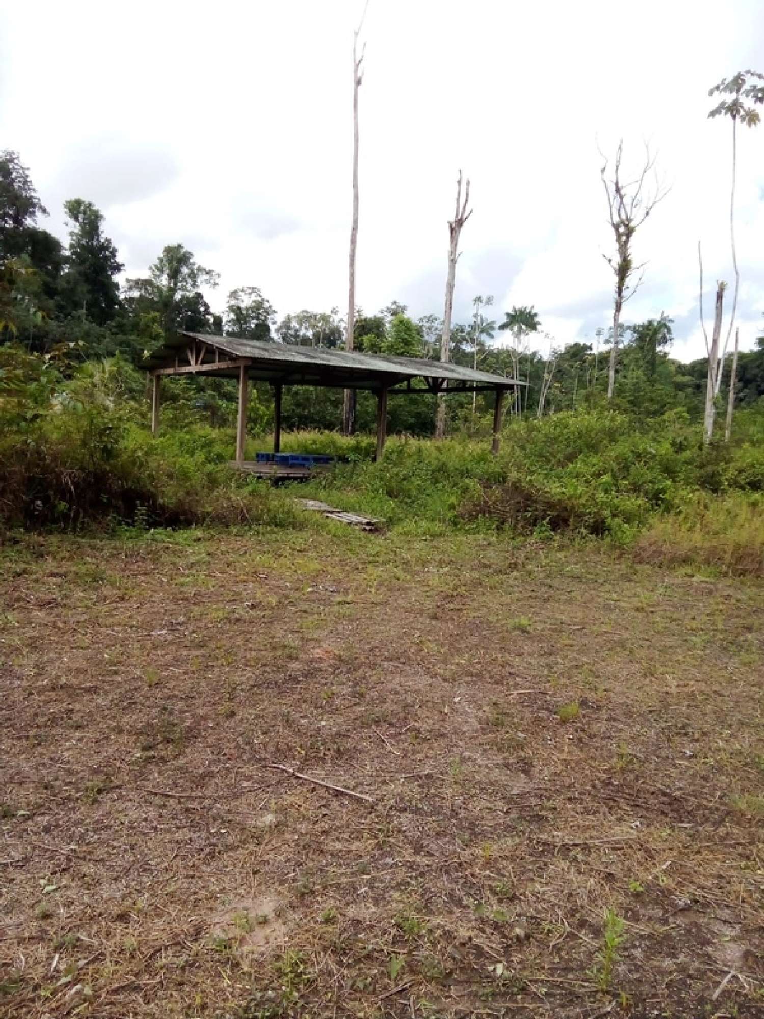 te koop terrein Roura Guyane 4