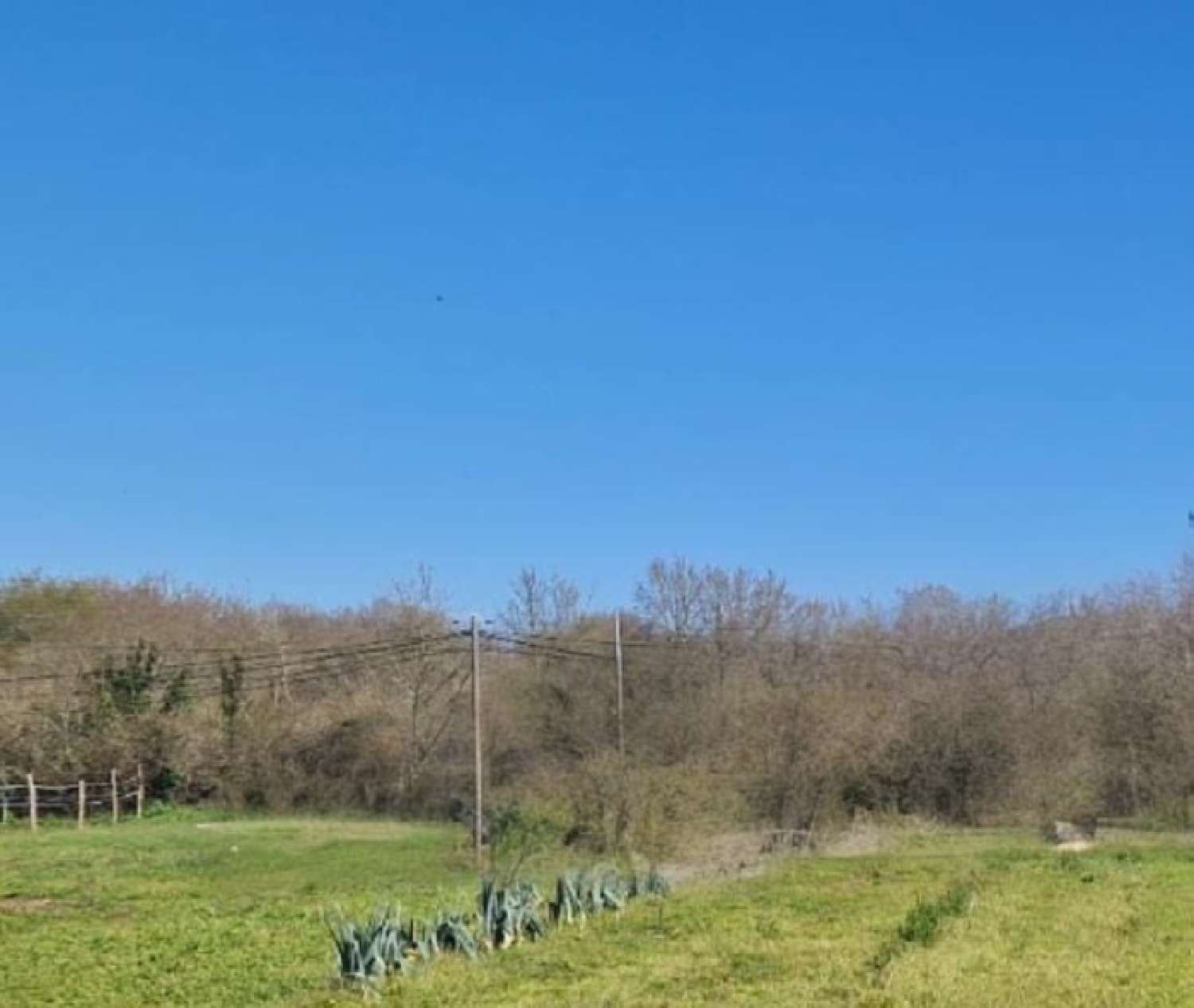  à vendre terrain Saint-André-des-Eaux Loire-Atlantique 1