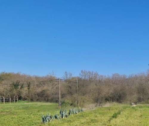 Saint-André-des-Eaux Loire-Atlantique terrain foto 7309794