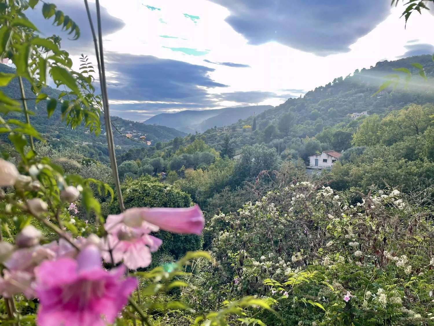  à vendre terrain Saint-Blaise Alpes-Maritimes 1