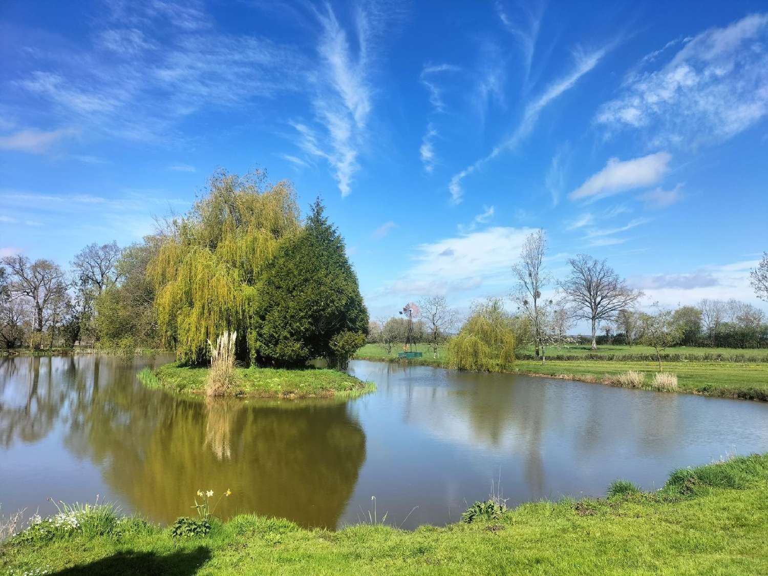 for sale terrain Saint-Cyr-en-Pail Mayenne 1