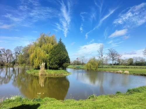 Saint-Cyr-en-Pail Mayenne terrain foto 7305208