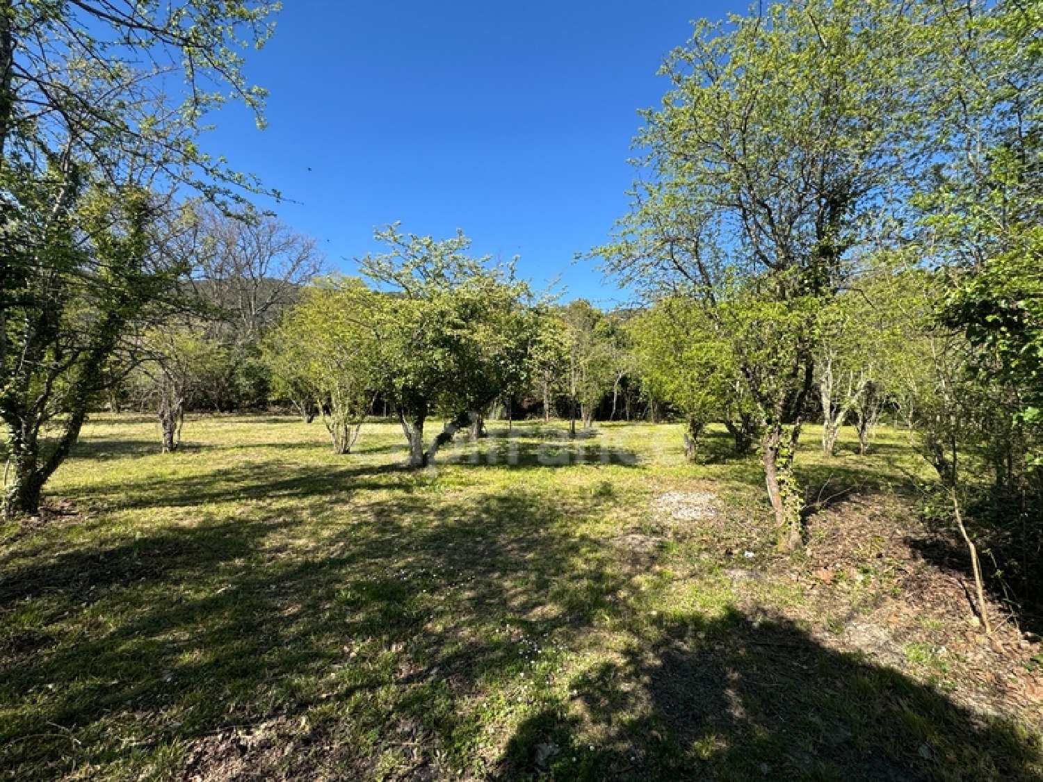 for sale terrain Saint-Hippolyte-du-Fort Gard 1