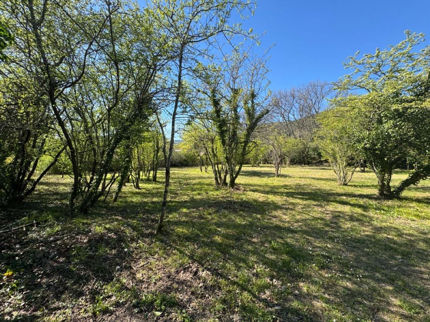 for sale terrain Saint-Hippolyte-du-Fort Gard 2