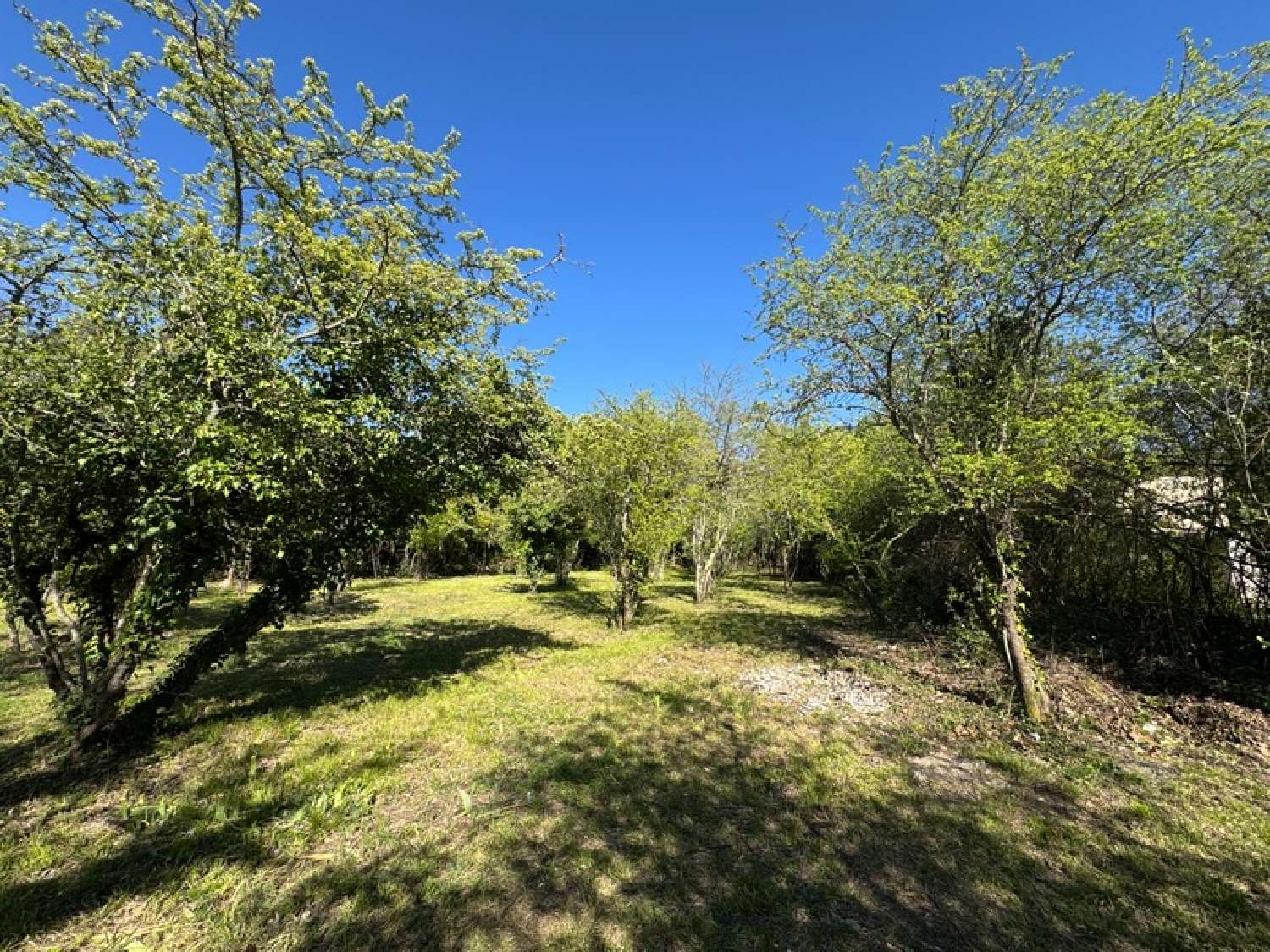 for sale terrain Saint-Hippolyte-du-Fort Gard 3