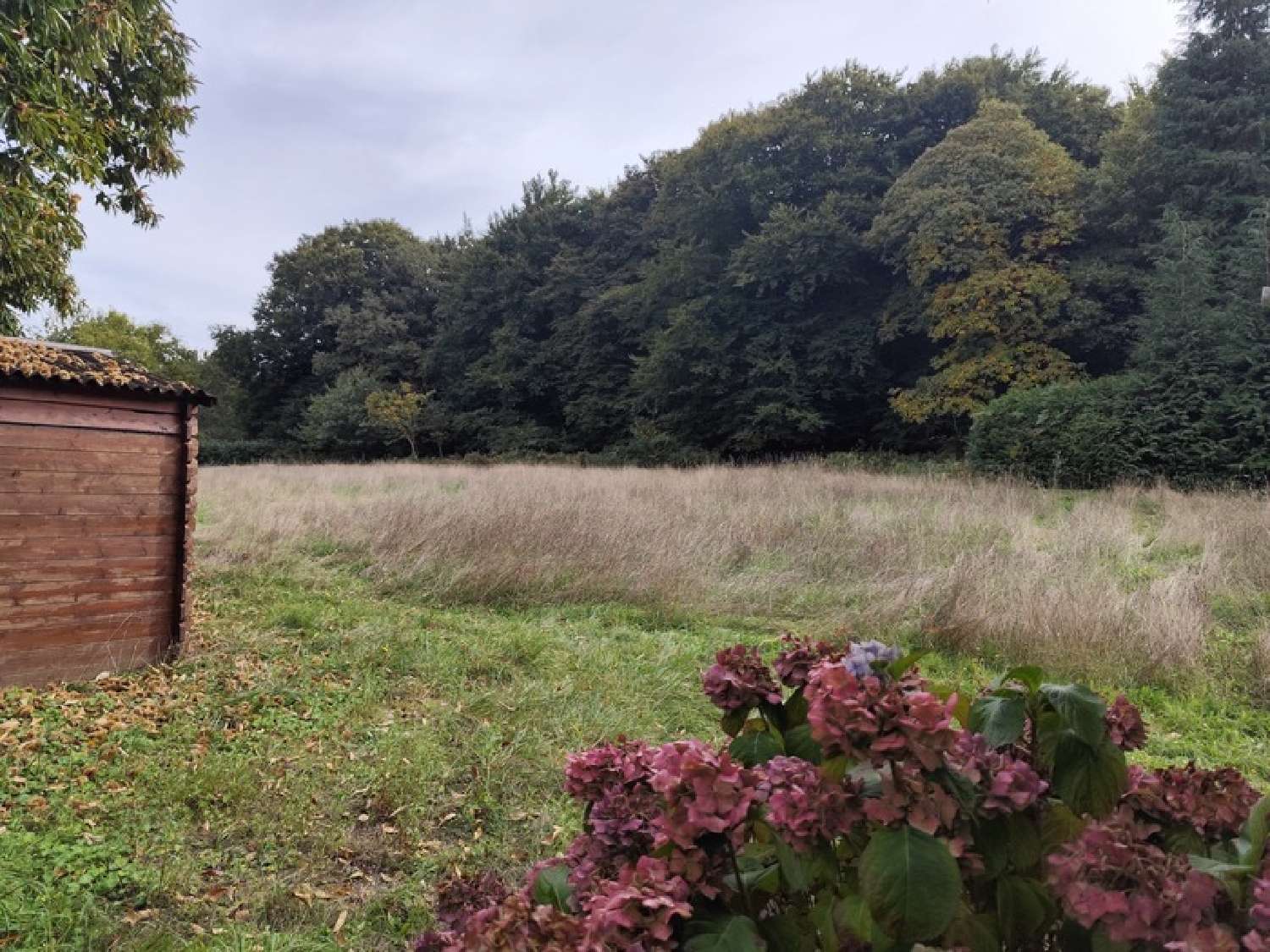  kaufen Grundstück Saint-Jacut-les-Pins Morbihan 8