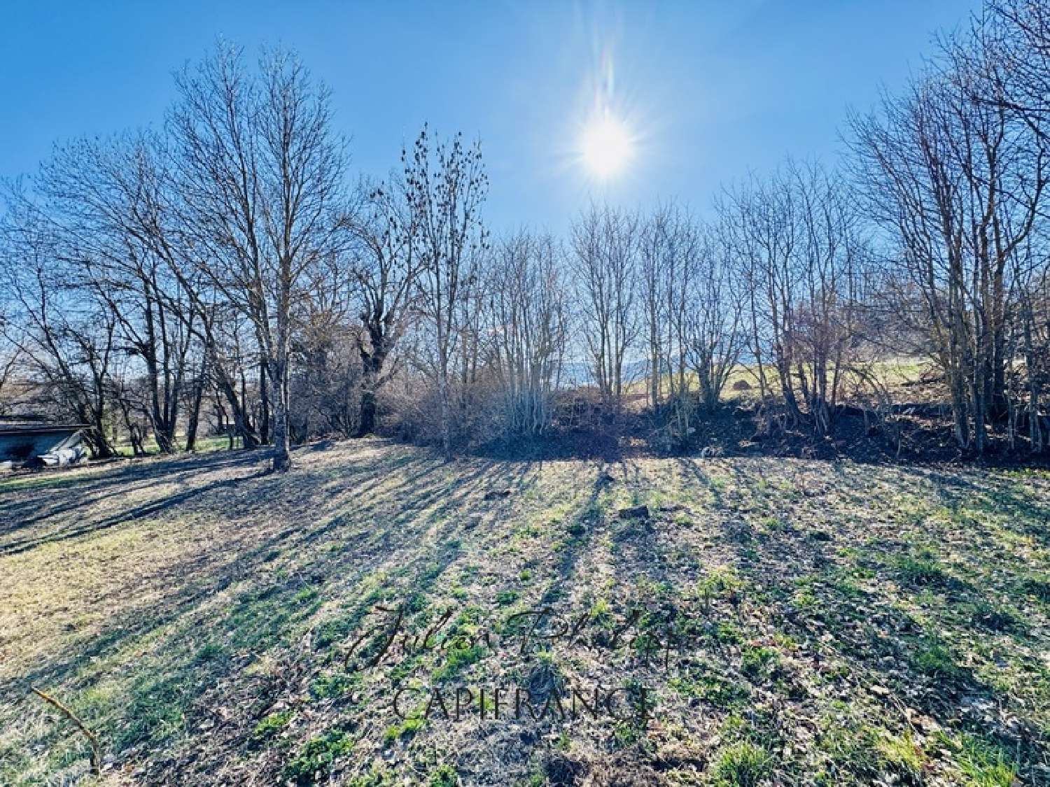  for sale terrain Saint-Julien-en-Champsaur Hautes-Alpes 5